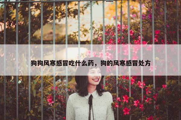 狗狗风寒感冒吃什么药，狗的风寒感冒处方