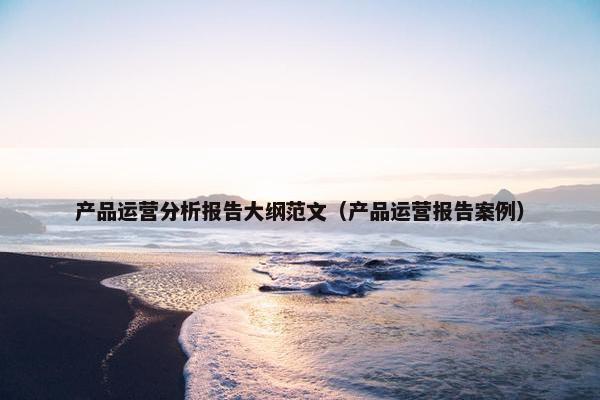 产品运营分析报告大纲范文（产品运营报告案例）