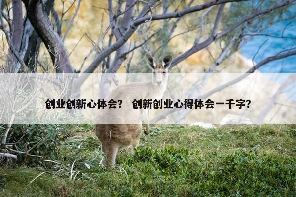 创业创新心体会？ 创新创业心得体会一千字？