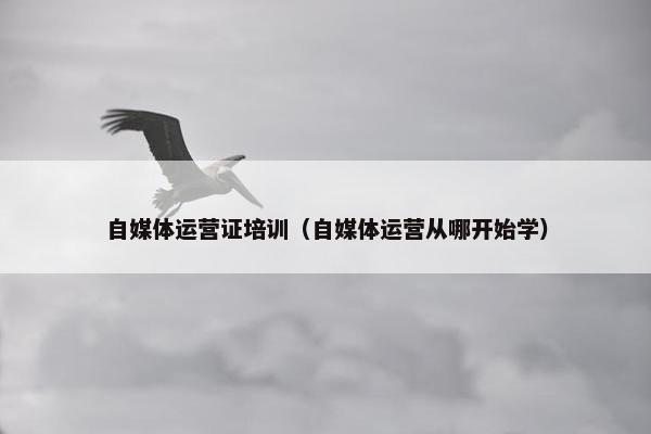 自媒体运营证培训（自媒体运营从哪开始学）