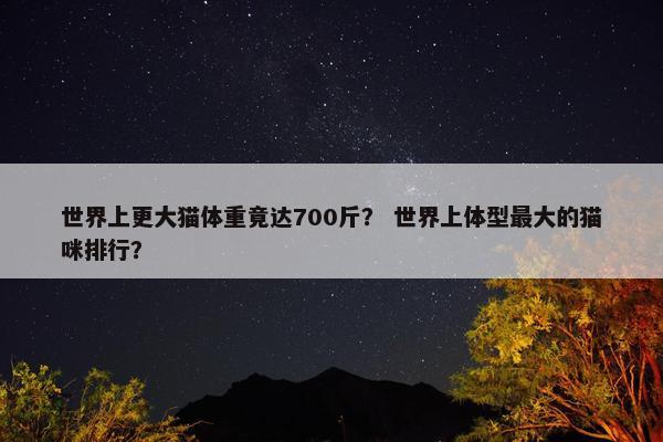 世界上更大猫体重竟达700斤？ 世界上体型最大的猫咪排行？