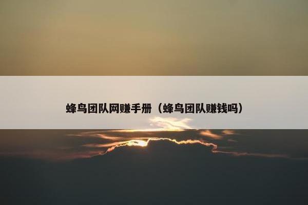 蜂鸟团队网赚手册（蜂鸟团队赚钱吗）