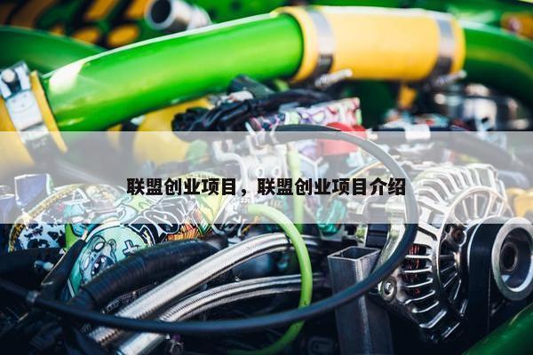 联盟创业项目，联盟创业项目介绍