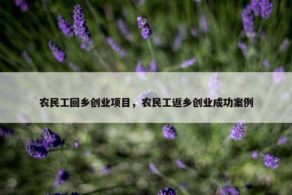 农民工回乡创业项目，农民工返乡创业成功案例