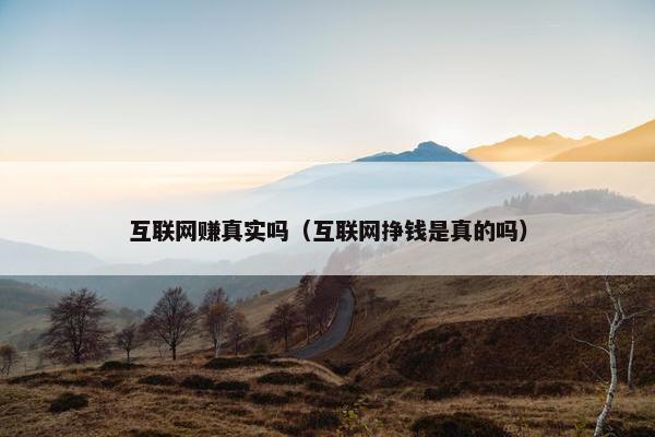 互联网赚真实吗（互联网挣钱是真的吗）