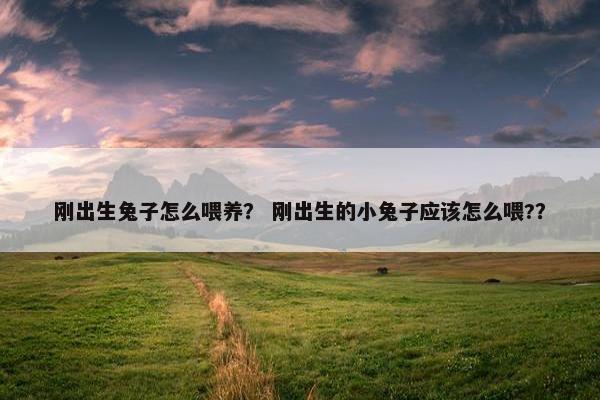 刚出生兔子怎么喂养？ 刚出生的小兔子应该怎么喂?？