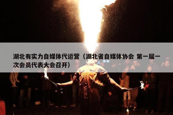 湖北有实力自媒体代运营（湖北省自媒体协会 第一届一次会员代表大会召开）