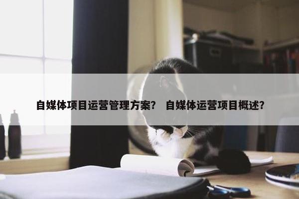 自媒体项目运营管理方案？ 自媒体运营项目概述？