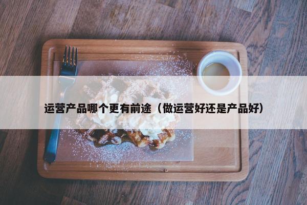 运营产品哪个更有前途（做运营好还是产品好）