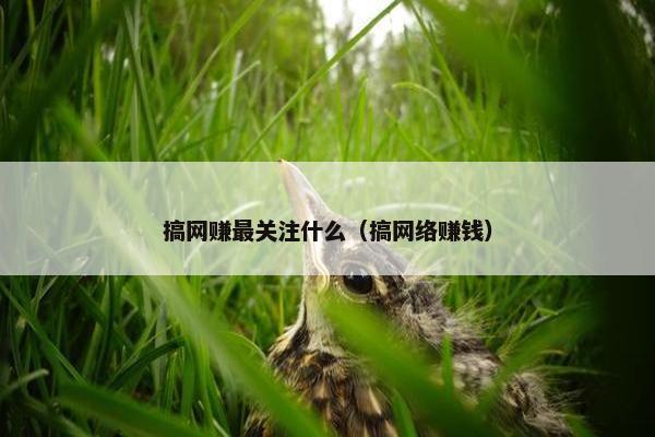 搞网赚最关注什么（搞网络赚钱）