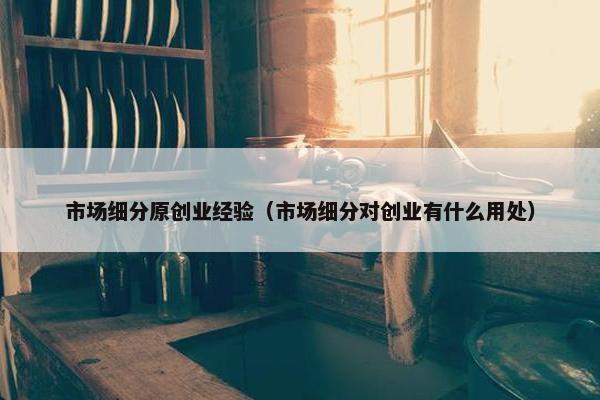 市场细分原创业经验（市场细分对创业有什么用处）