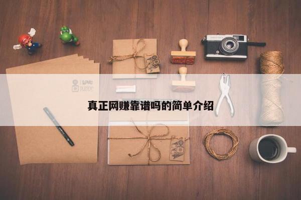 真正网赚靠谱吗的简单介绍
