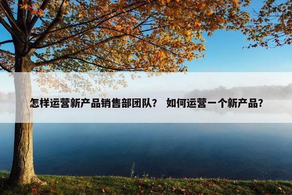 怎样运营新产品销售部团队？ 如何运营一个新产品？