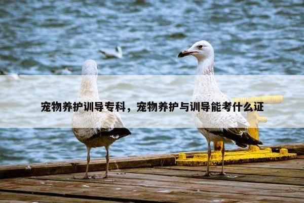 宠物养护训导专科，宠物养护与训导能考什么证