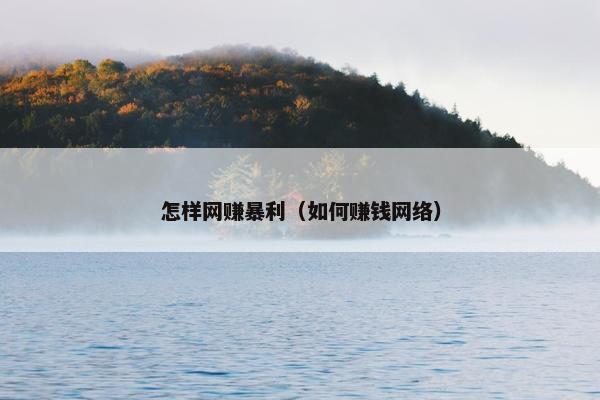 怎样网赚暴利（如何赚钱网络）