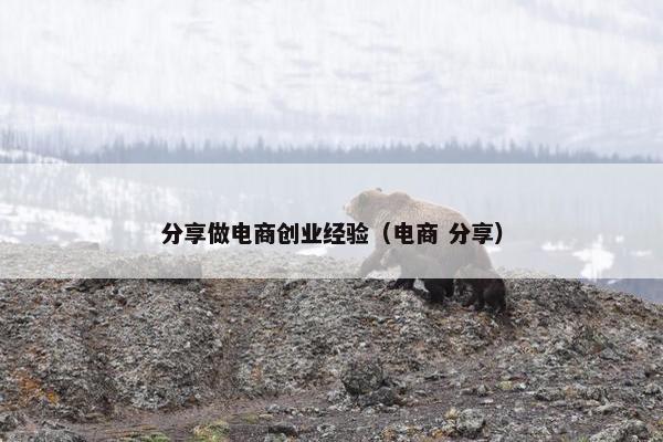 分享做电商创业经验（电商 分享）