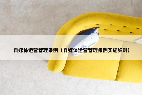 自媒体运营管理条例（自媒体运营管理条例实施细则）