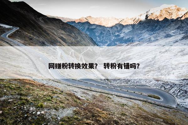 网赚粉转换效果？ 转粉有错吗？