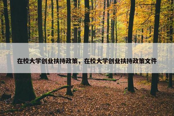 在校大学创业扶持政策，在校大学创业扶持政策文件