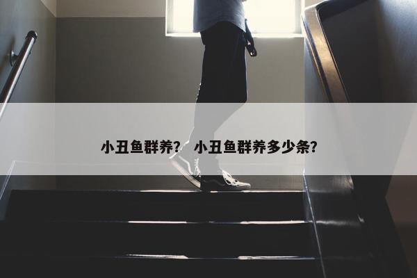 小丑鱼群养？ 小丑鱼群养多少条？