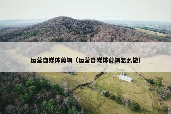运营自媒体剪辑（运营自媒体剪辑怎么做）