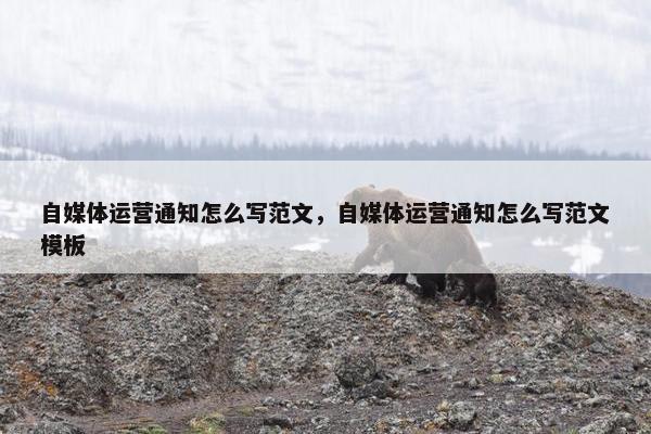 自媒体运营通知怎么写范文，自媒体运营通知怎么写范文模板