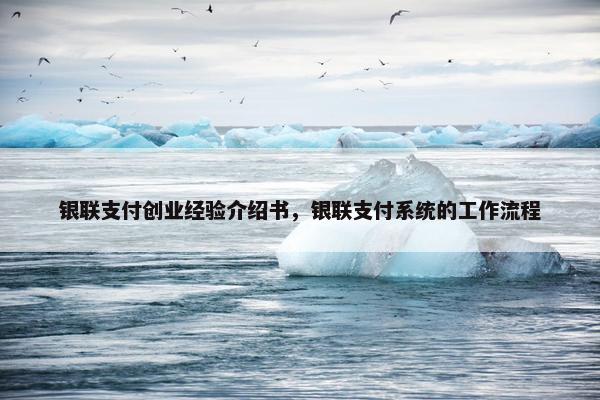 银联支付创业经验介绍书，银联支付系统的工作流程