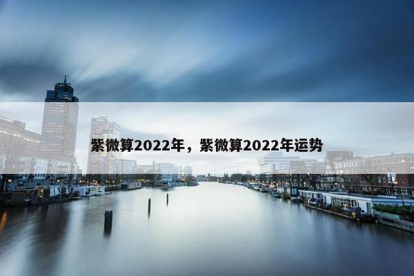 紫微算2022年，紫微算2022年运势