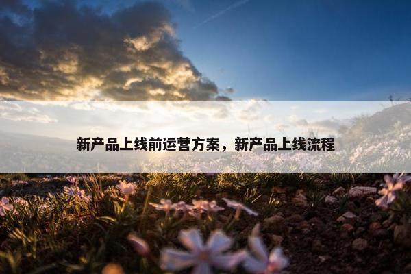 新产品上线前运营方案，新产品上线流程