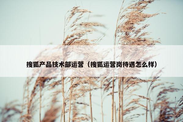 搜狐产品技术部运营（搜狐运营岗待遇怎么样）