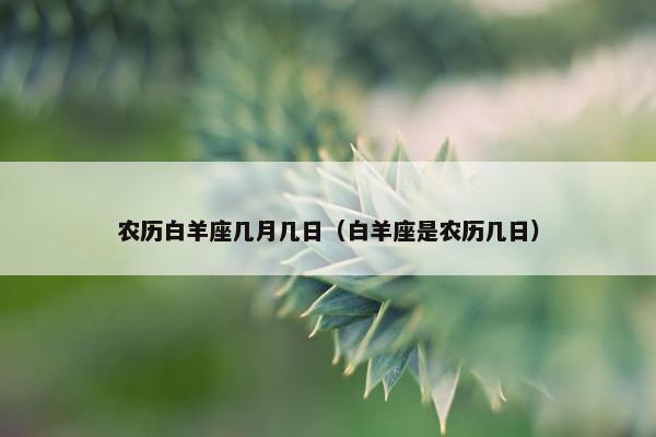 农历白羊座几月几日（白羊座是农历几日）