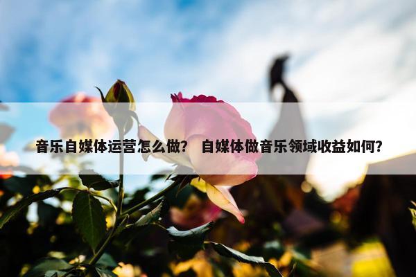 音乐自媒体运营怎么做？ 自媒体做音乐领域收益如何？