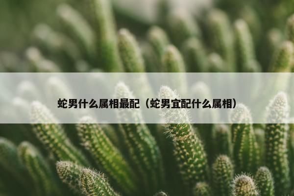 蛇男什么属相最配（蛇男宜配什么属相）