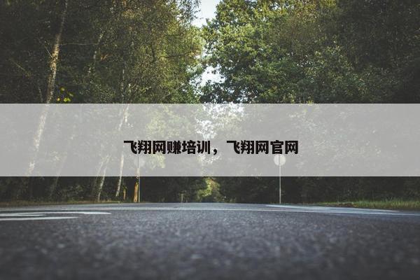 飞翔网赚培训，飞翔网官网