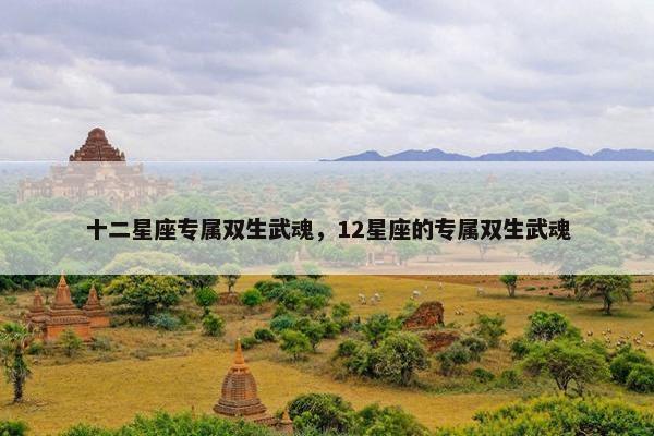 十二星座专属双生武魂，12星座的专属双生武魂