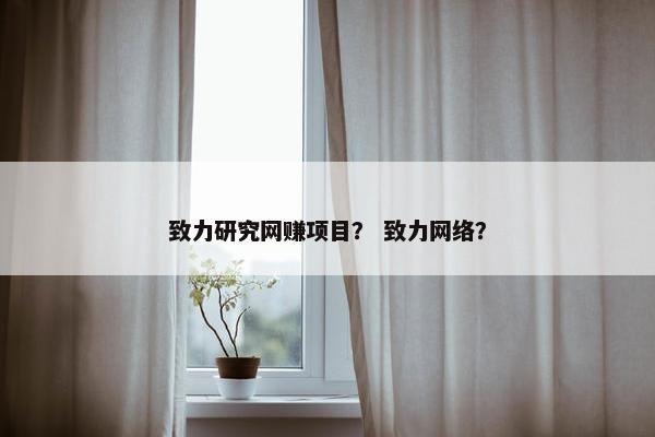 致力研究网赚项目？ 致力网络？