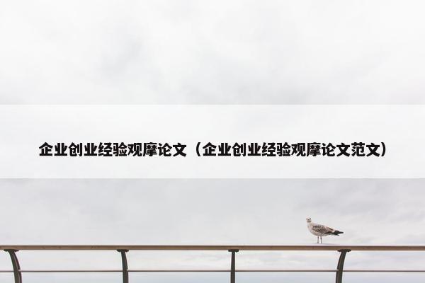 企业创业经验观摩论文（企业创业经验观摩论文范文）