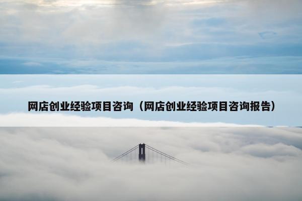 网店创业经验项目咨询（网店创业经验项目咨询报告）
