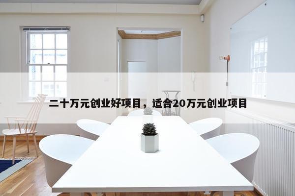 二十万元创业好项目，适合20万元创业项目