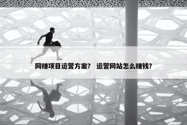 网赚项目运营方案？ 运营网站怎么赚钱？