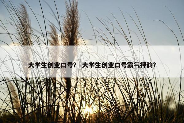 大学生创业口号？ 大学生创业口号霸气押韵？