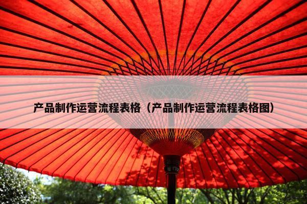 产品制作运营流程表格（产品制作运营流程表格图）