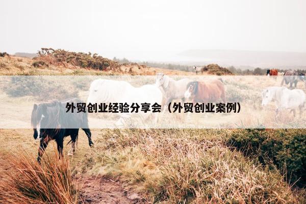 外贸创业经验分享会（外贸创业案例）