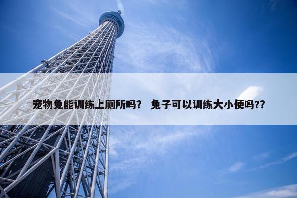 宠物兔能训练上厕所吗？ 兔子可以训练大小便吗?？