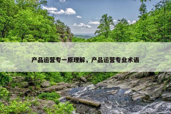 产品运营专一原理解，产品运营专业术语