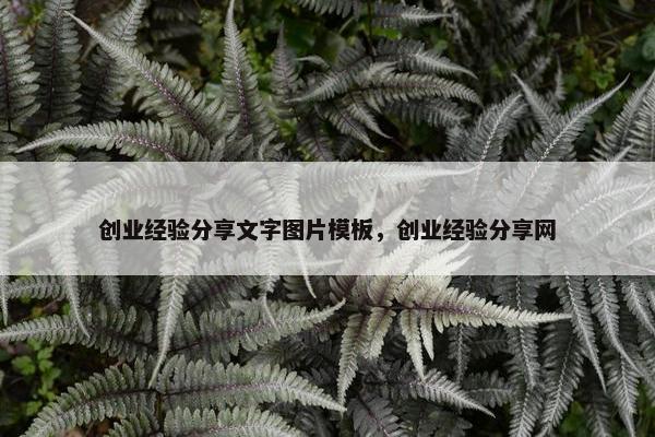 创业经验分享文字图片模板，创业经验分享网