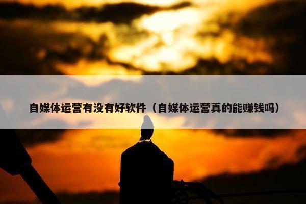 自媒体运营有没有好软件（自媒体运营真的能赚钱吗）
