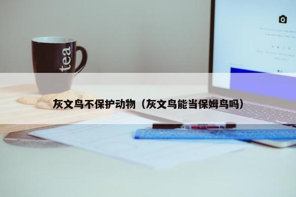 灰文鸟不保护动物（灰文鸟能当保姆鸟吗）
