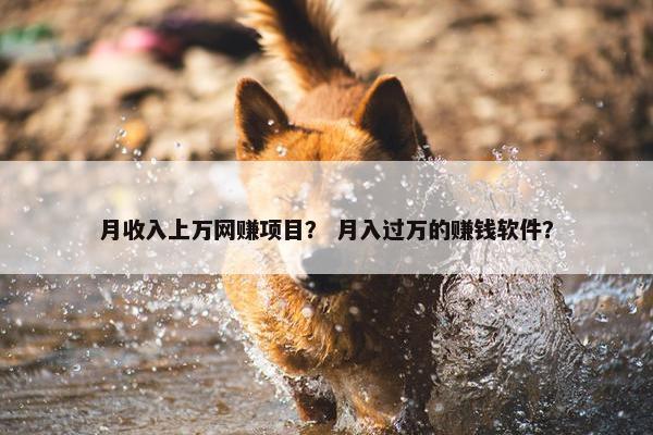 月收入上万网赚项目？ 月入过万的赚钱软件？