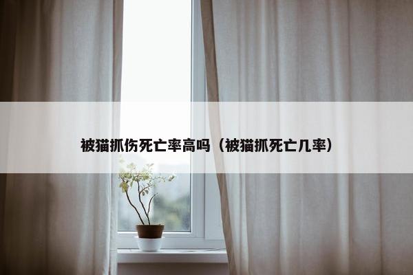 被猫抓伤死亡率高吗（被猫抓死亡几率）